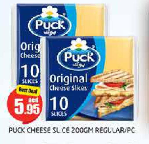PUCK Slice Cheese  in مجموعة باسونس in الإمارات العربية المتحدة , الامارات - دبي