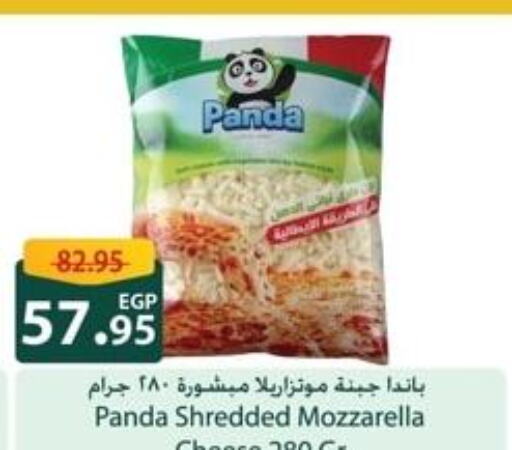 PANDA Mozzarella  in سبينس in Egypt - القاهرة