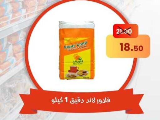  All Purpose Flour  in Canto Market in Egypt - Cairo