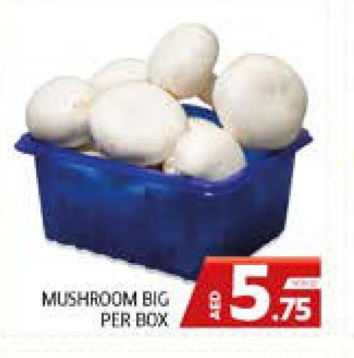  Mushroom  in Seven Emirates Supermarket in UAE - Abu Dhabi