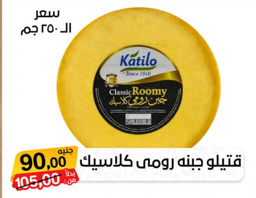  Roumy Cheese  in بيت الجملة in Egypt - القاهرة