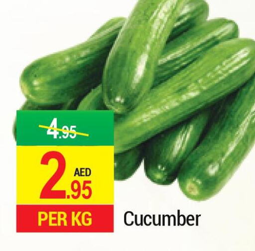  Cucumber  in رتش سوبرماركت in الإمارات العربية المتحدة , الامارات - دبي
