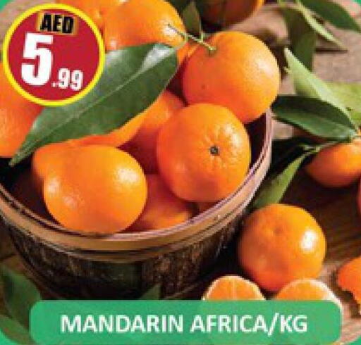  Orange  in Al Madina  in UAE - Dubai