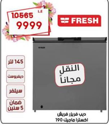 FRESH Freezer  in المرشدي in Egypt - القاهرة
