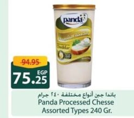 PANDA Cheddar Cheese  in Spinneys  in Egypt - Cairo