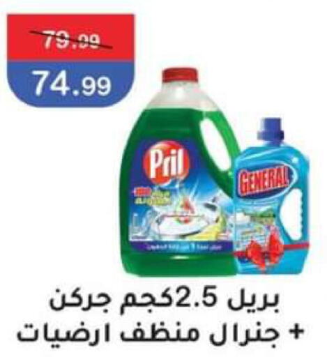 PRIL General Cleaner  in ابو السعود in Egypt - القاهرة