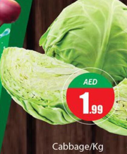  Cabbage  in المدينة in الإمارات العربية المتحدة , الامارات - دبي