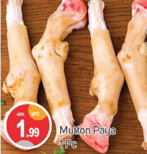  Mutton / Lamb  in TALAL MARKET in UAE - Sharjah / Ajman