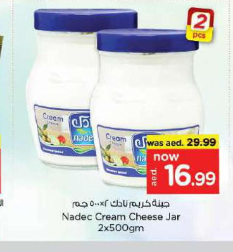NADEC Cream Cheese  in Nesto Hypermarket in UAE - Fujairah