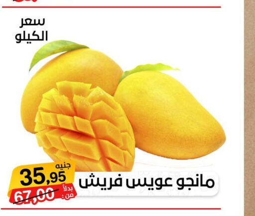  Mango  in بيت الجملة in Egypt - القاهرة