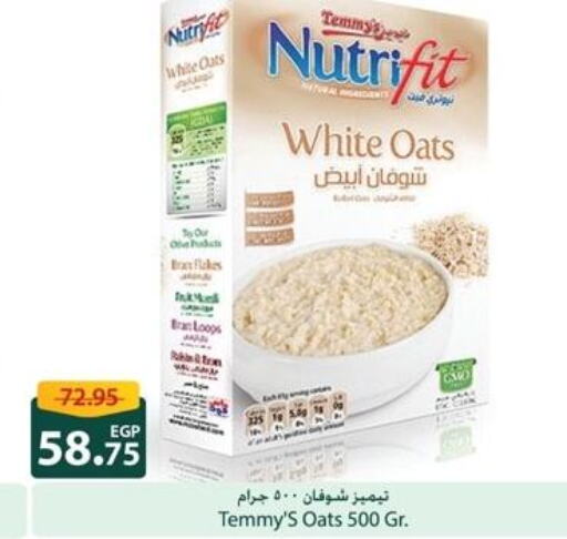 NUTRIFIT Oats  in سبينس in Egypt - القاهرة