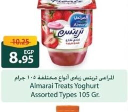 ALMARAI Yoghurt  in Spinneys  in Egypt - Cairo