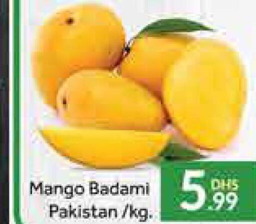 Mango Mango  in Al Madina  in UAE - Dubai