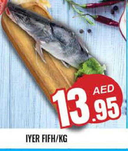  Tuna  in PASONS GROUP in UAE - Al Ain