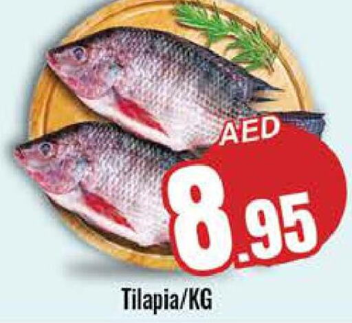  Tuna  in PASONS GROUP in UAE - Al Ain