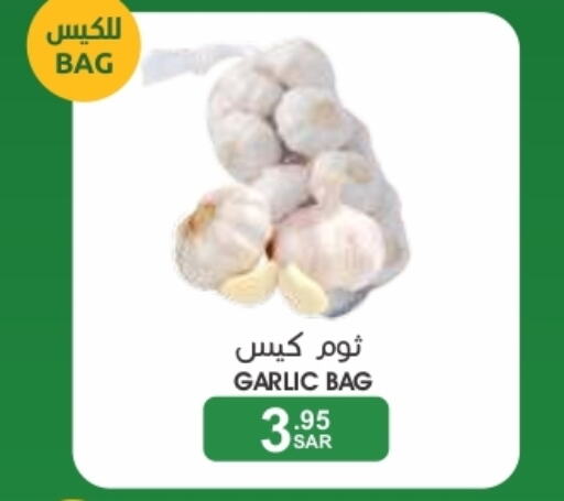  Garlic  in  مـزايــا in مملكة العربية السعودية, السعودية, سعودية - المنطقة الشرقية