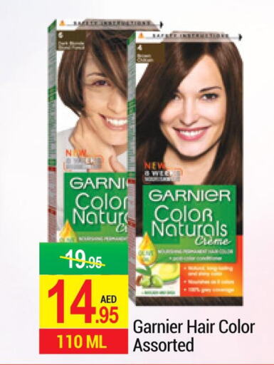 GARNIER Hair Colour  in NEW W MART SUPERMARKET  in UAE - Dubai
