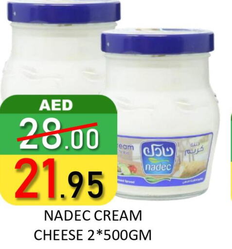 NADEC Cream Cheese  in ROYAL GULF HYPERMARKET LLC in UAE - Abu Dhabi