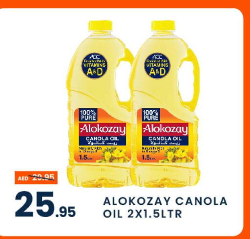 ALOKOZAY Canola Oil  in MADHOOR SUPERMARKET L.L.C in UAE - Dubai