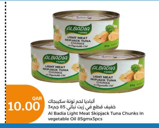  Tuna - Canned  in سيتي هايبرماركت in قطر - أم صلال