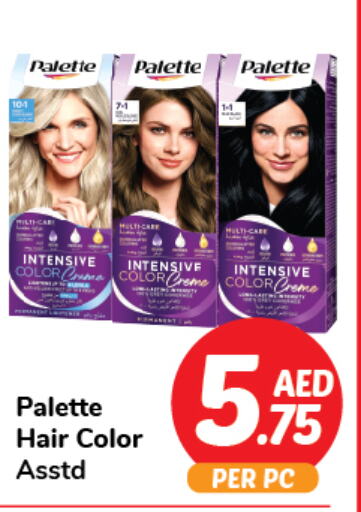 PALETTE Hair Colour  in دي تو دي in الإمارات العربية المتحدة , الامارات - دبي