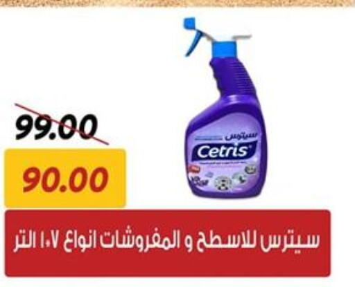  General Cleaner  in Sarai Market  in Egypt - Cairo