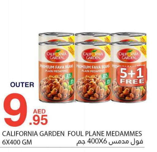 CALIFORNIA GARDEN Fava Beans  in بسمي بالجملة in الإمارات العربية المتحدة , الامارات - دبي