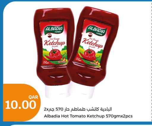  Tomato Ketchup  in سيتي هايبرماركت in قطر - الوكرة