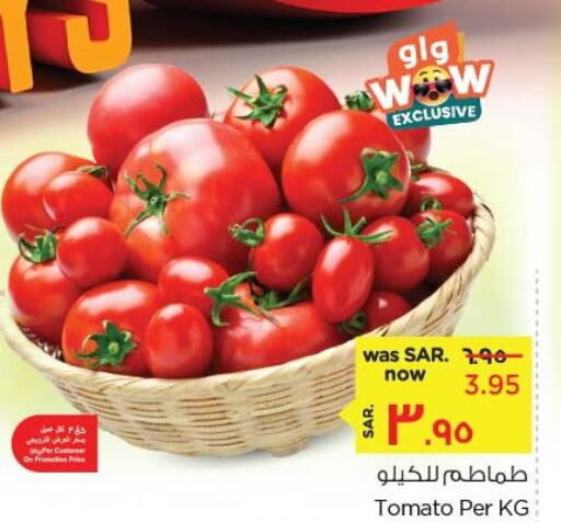  Tomato  in نستو in مملكة العربية السعودية, السعودية, سعودية - الأحساء‎