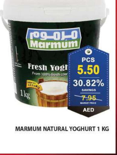 MARMUM Yoghurt  in Bismi Wholesale in UAE - Dubai