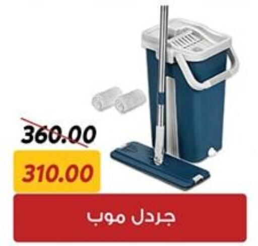 HARPIC Toilet / Drain Cleaner  in Sarai Market  in Egypt - Cairo