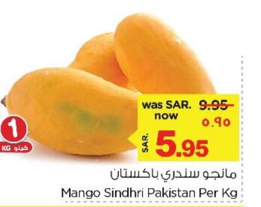  Mangoes  in نستو in مملكة العربية السعودية, السعودية, سعودية - المنطقة الشرقية