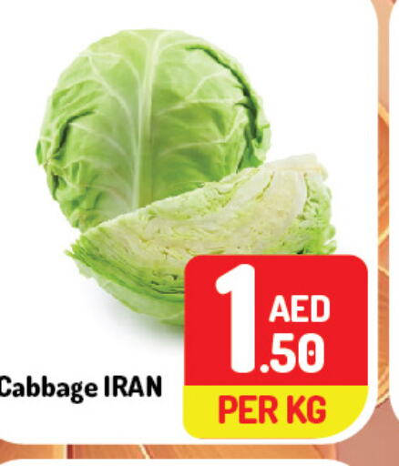  Cabbage  in Day to Day Department Store in UAE - Dubai