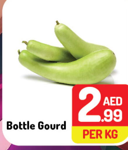  Bottlegourd  in Day to Day Department Store in UAE - Dubai