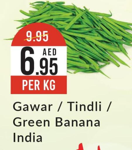  Banana Green  in ويست زون سوبرماركت in الإمارات العربية المتحدة , الامارات - الشارقة / عجمان