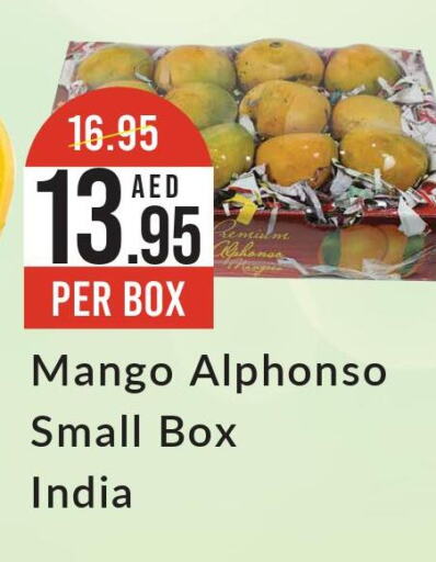 Mango   in ويست زون سوبرماركت in الإمارات العربية المتحدة , الامارات - أبو ظبي