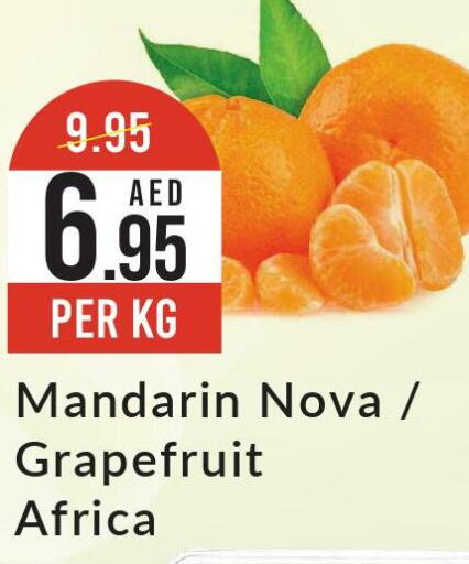  Orange  in ويست زون سوبرماركت in الإمارات العربية المتحدة , الامارات - دبي
