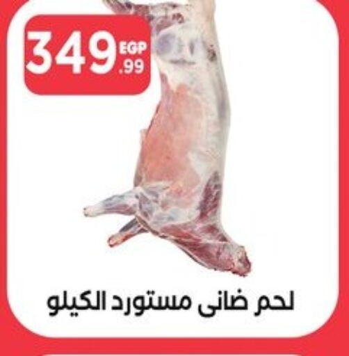  Mutton / Lamb  in المحلاوي ستورز in Egypt - القاهرة