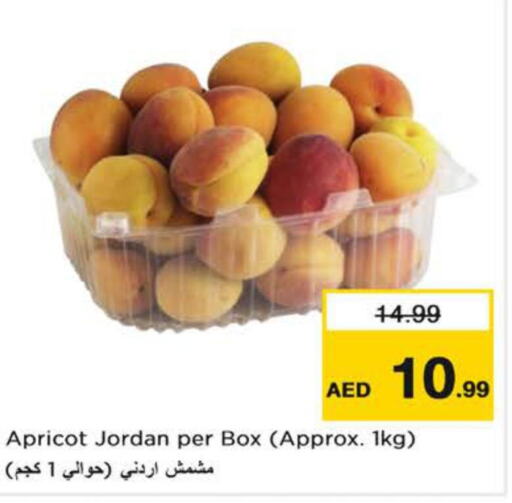  Apples  in نستو هايبرماركت in الإمارات العربية المتحدة , الامارات - دبي