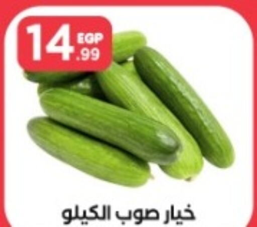  Cucumber  in المحلاوي ستورز in Egypt - القاهرة
