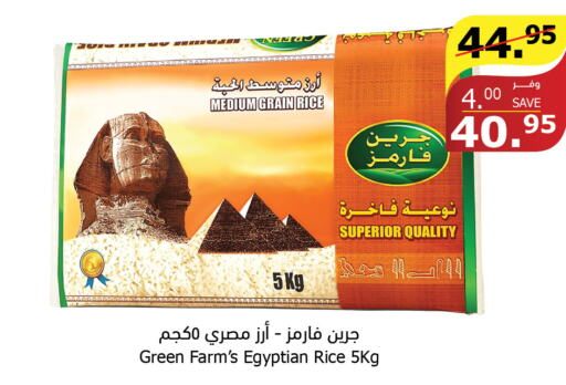  Egyptian / Calrose Rice  in الراية in مملكة العربية السعودية, السعودية, سعودية - المدينة المنورة