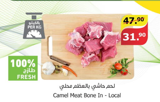  Camel meat  in الراية in مملكة العربية السعودية, السعودية, سعودية - تبوك