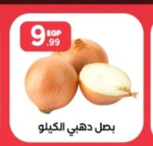  Onion  in المحلاوي ستورز in Egypt - القاهرة