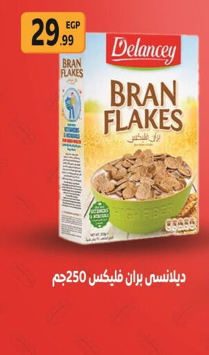 DELANCEY Cereals  in المحلاوي ستورز in Egypt - القاهرة