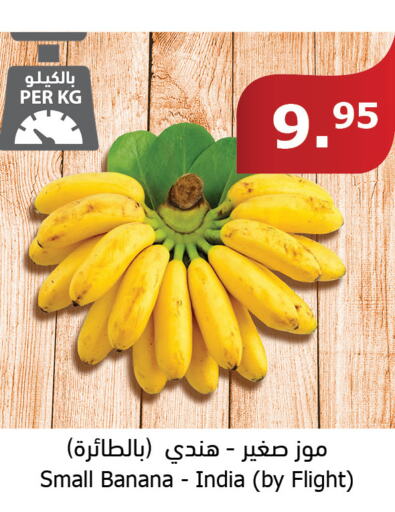  Banana  in الراية in مملكة العربية السعودية, السعودية, سعودية - مكة المكرمة