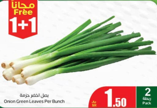 Onion  in أسواق عبد الله العثيم in مملكة العربية السعودية, السعودية, سعودية - الباحة