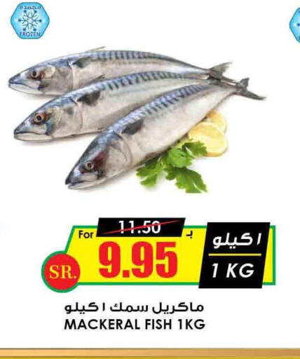  King Fish  in أسواق النخبة in مملكة العربية السعودية, السعودية, سعودية - عنيزة