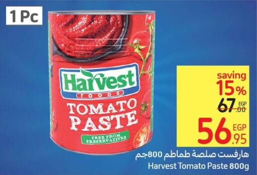  Tomato Paste  in كارفور in Egypt - القاهرة