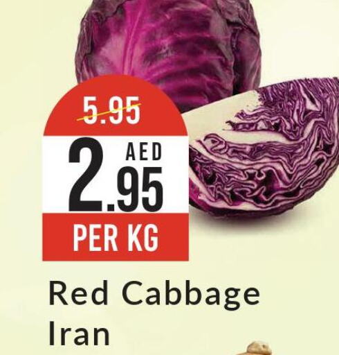  Cabbage  in ويست زون سوبرماركت in الإمارات العربية المتحدة , الامارات - الشارقة / عجمان