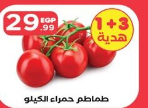  Tomato  in المحلاوي ستورز in Egypt - القاهرة